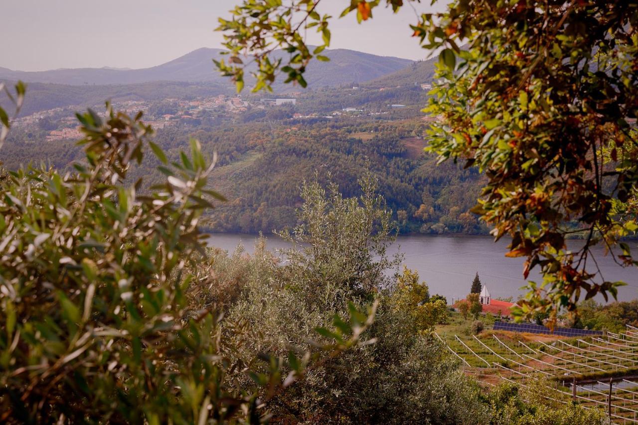 Arrabia Guest Houses Glamping Raiva Buitenkant foto
